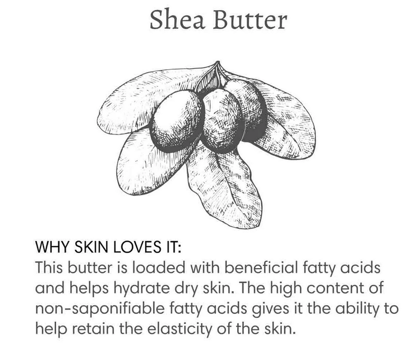 The Vanilla Effect Body Cream