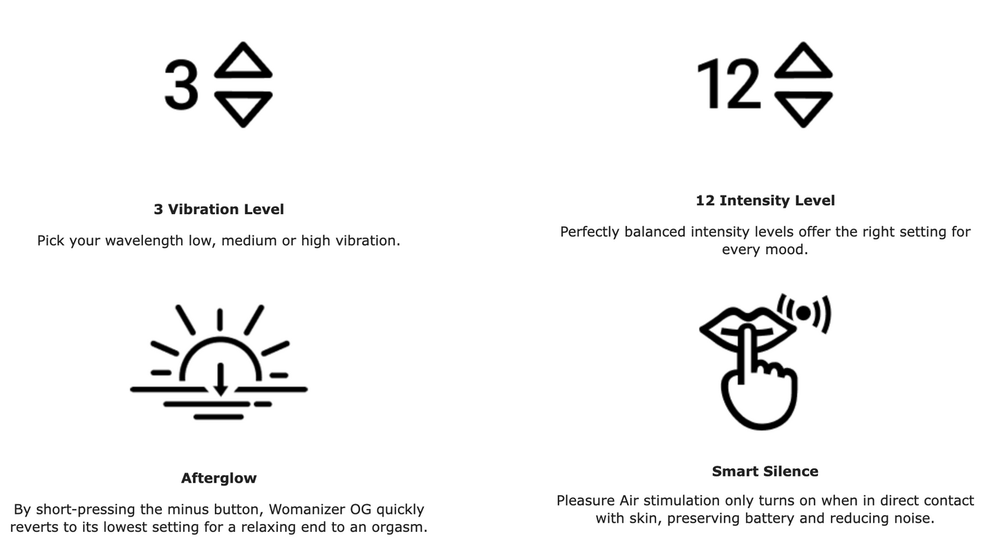 Womanizer OG Slate G-Spot Vibrator