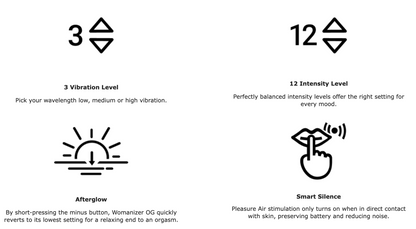 Womanizer OG Slate G-Spot Vibrator