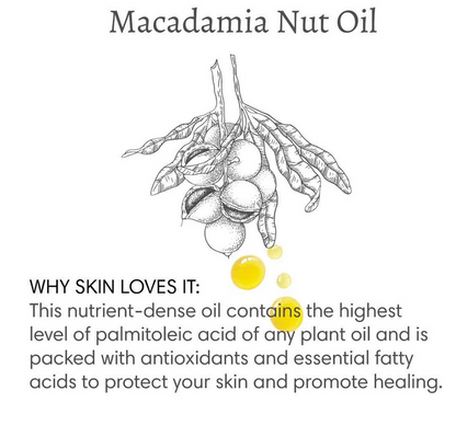 The Vanilla Effect Body Cream