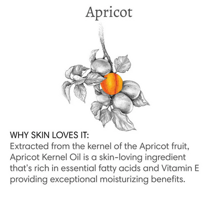 The Vanilla Effect Massage & Bath Oil