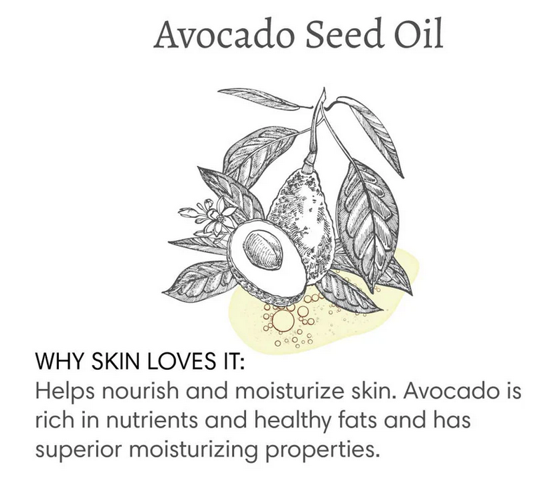 The Vanilla Effect Massage & Bath Oil